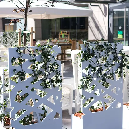 酒店 布加勒斯特丽笙酒店 5*