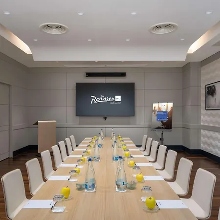 布加勒斯特丽笙酒店