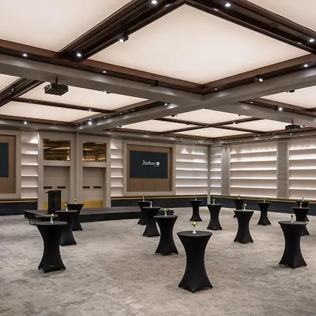 布加勒斯特丽笙酒店 布加勒斯特